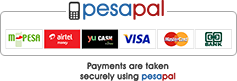 Pesapal Image